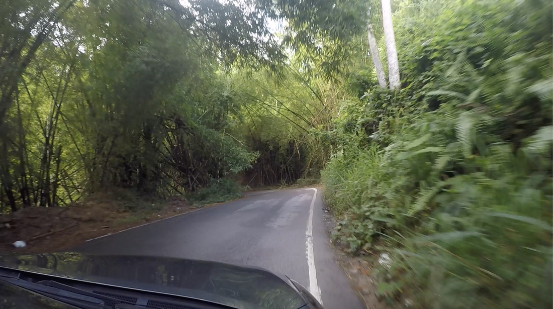 Contiene ganado vino What it is like to drive in Puerto Rico - Traveling Tacos